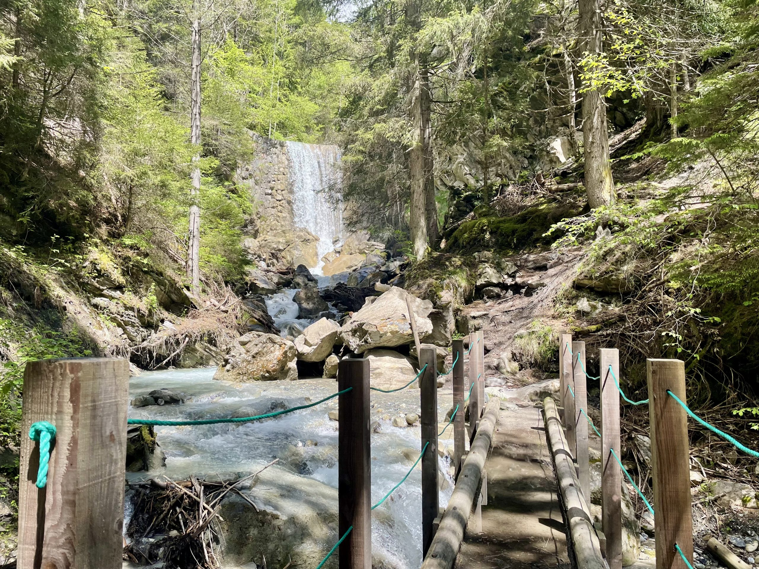 Trail des Bois