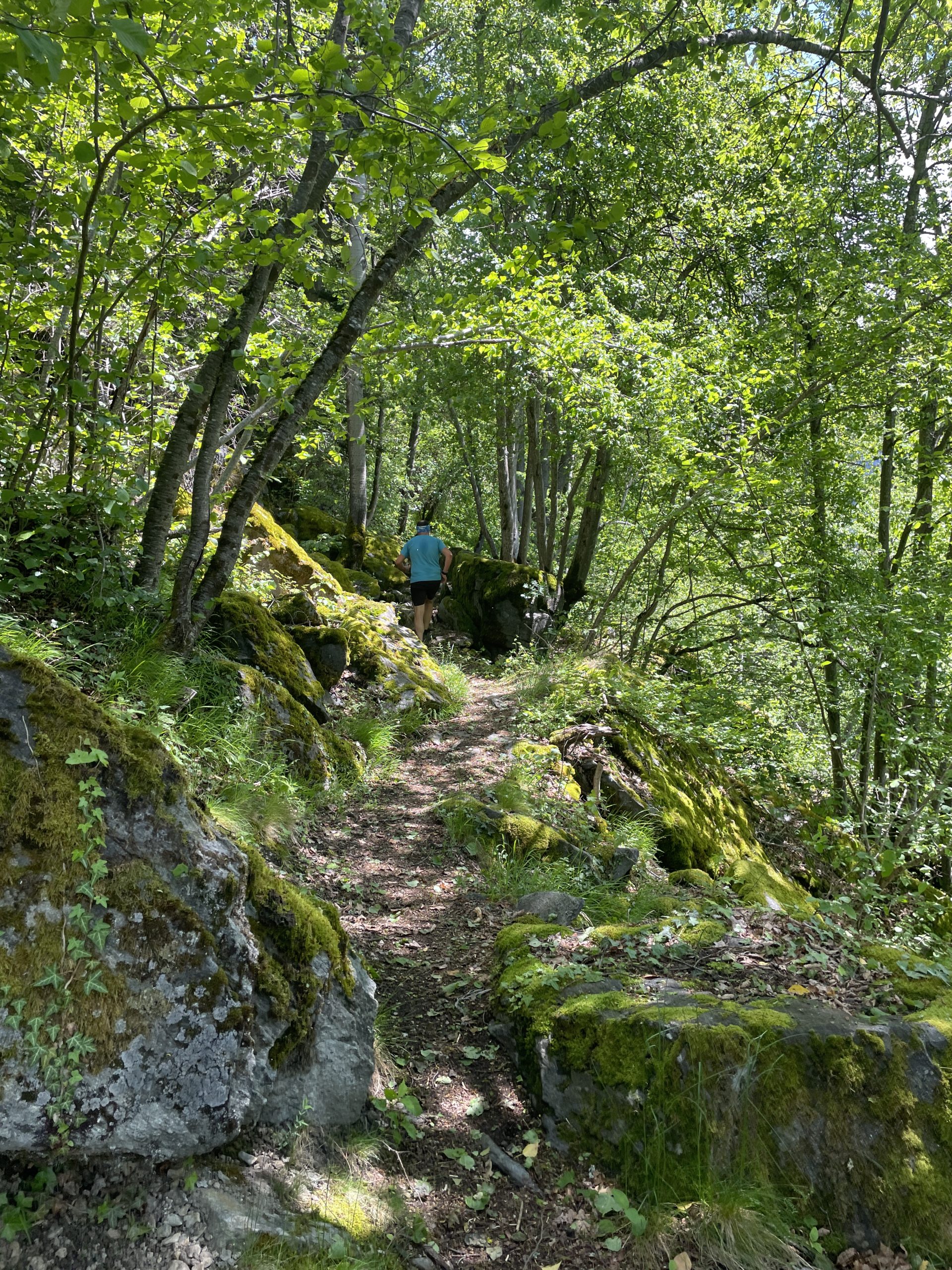 Trail des Bois